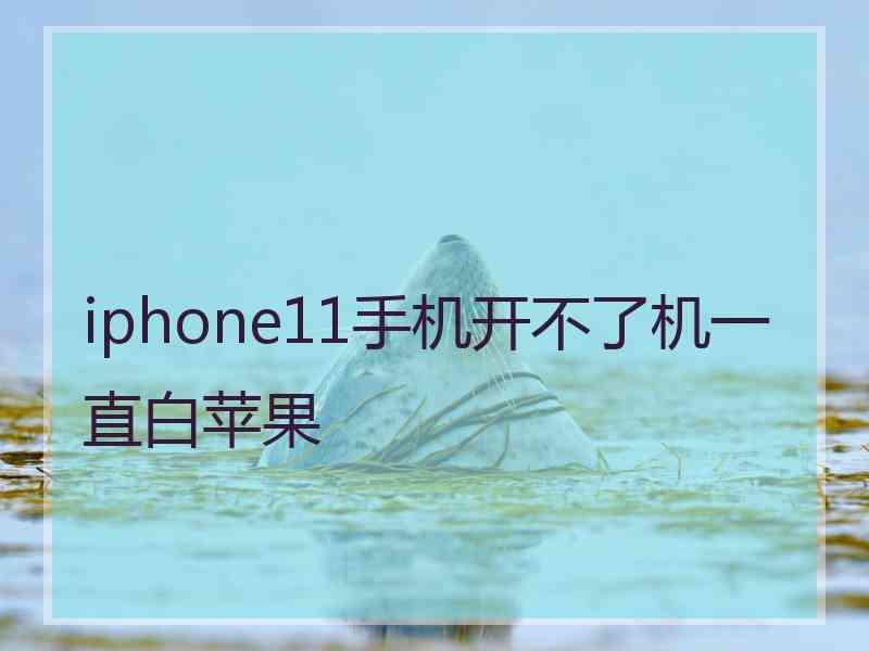 iphone11手机开不了机一直白苹果