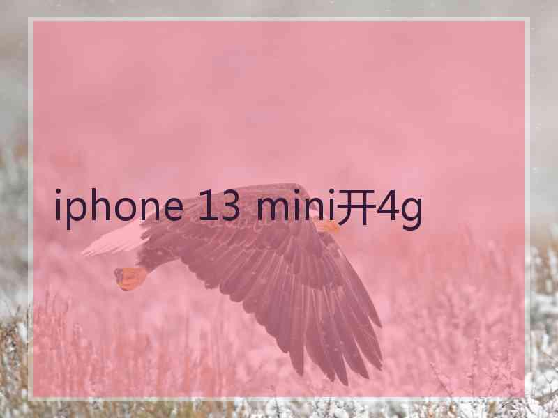 iphone 13 mini开4g