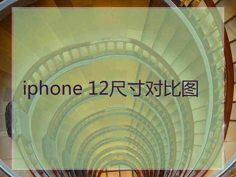 iphone 12尺寸对比图