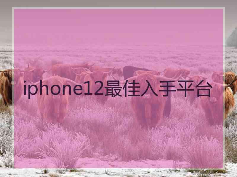 iphone12最佳入手平台