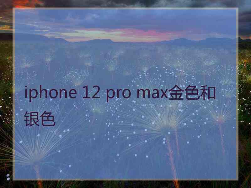 iphone 12 pro max金色和银色