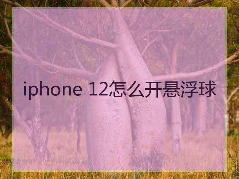 iphone 12怎么开悬浮球