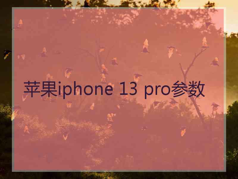 苹果iphone 13 pro参数