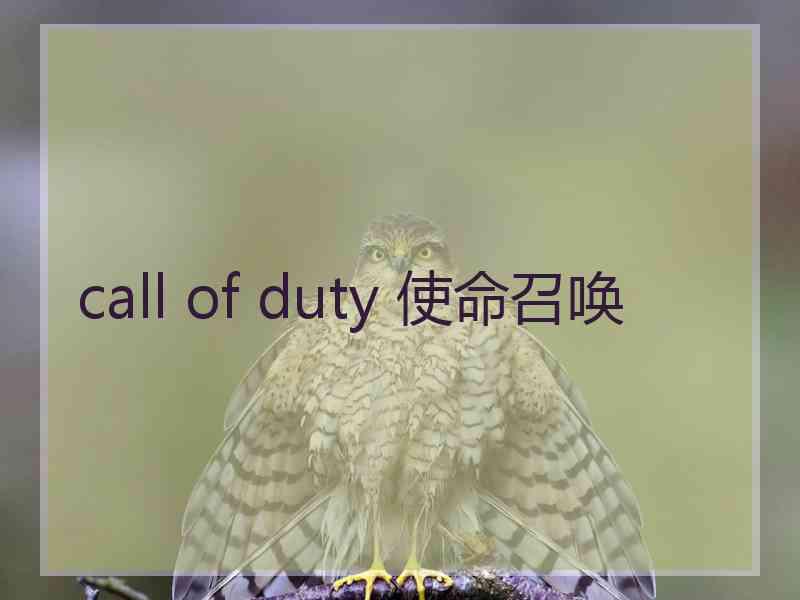 call of duty 使命召唤