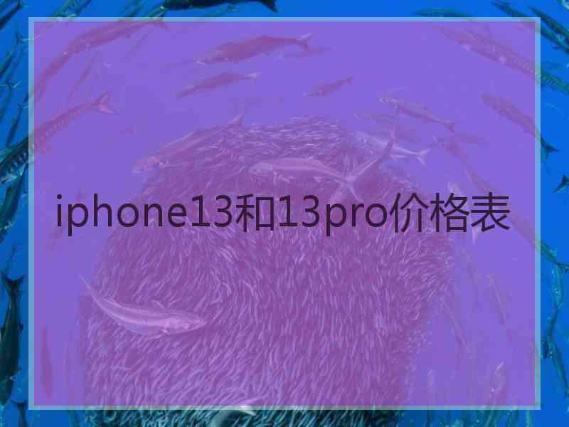 iphone13和13pro价格表