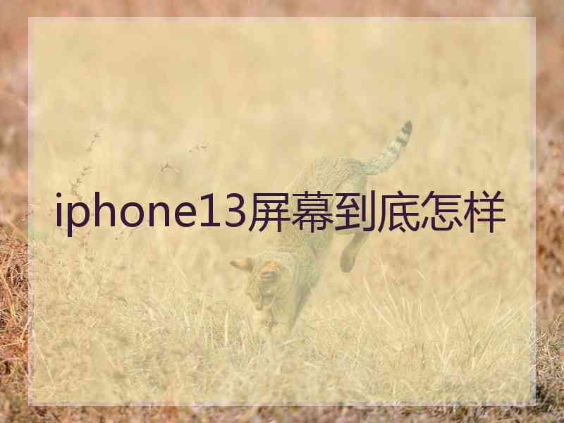 iphone13屏幕到底怎样