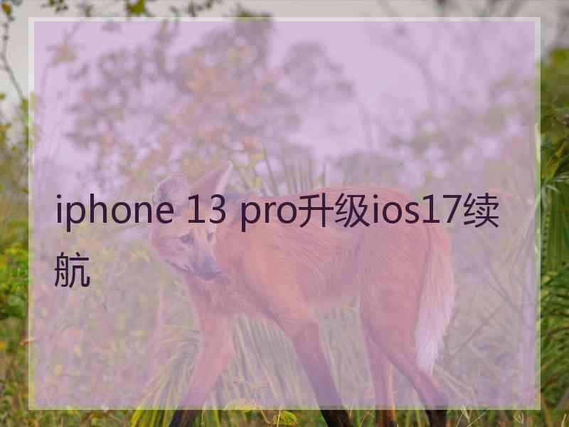 iphone 13 pro升级ios17续航