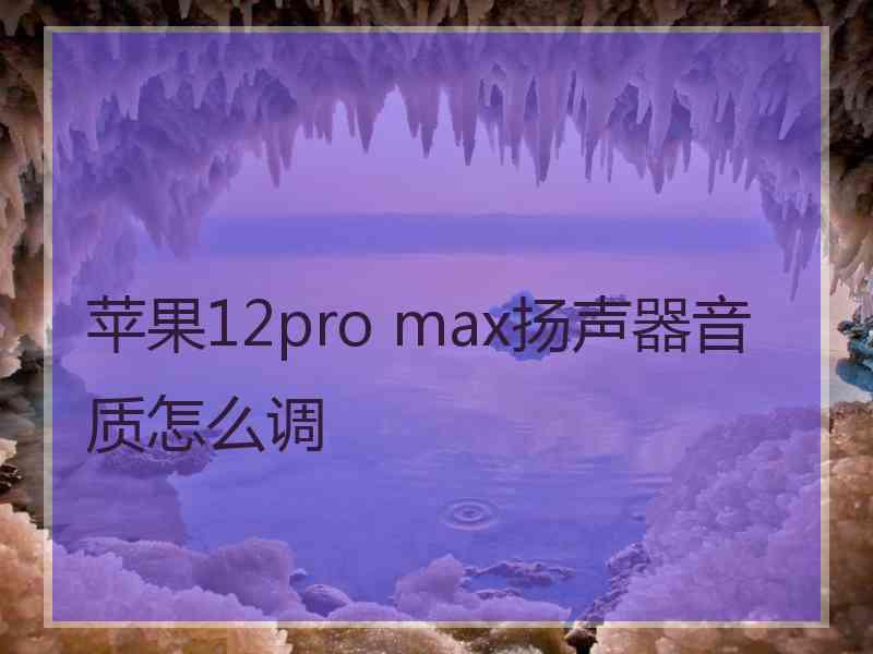 苹果12pro max扬声器音质怎么调