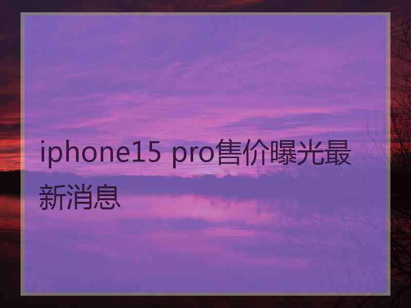 iphone15 pro售价曝光最新消息