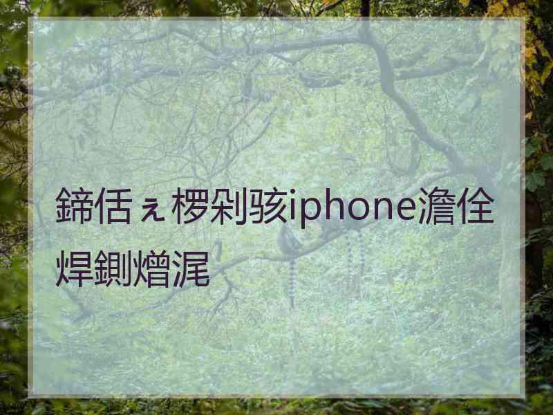 鍗佸ぇ椤剁骇iphone澹佺焊鍘熷浘