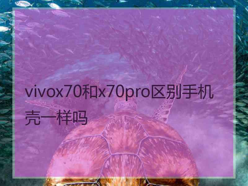 vivox70和x70pro区别手机壳一样吗