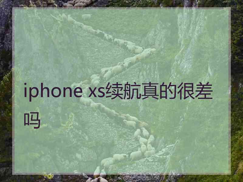 iphone xs续航真的很差吗