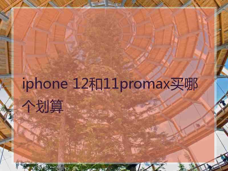 iphone 12和11promax买哪个划算