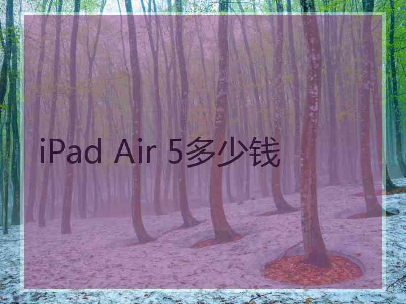 iPad Air 5多少钱