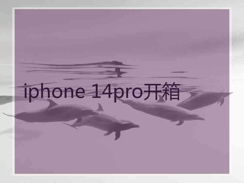 iphone 14pro开箱