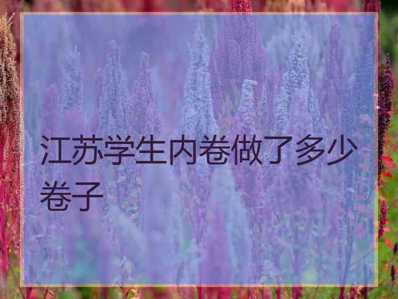 江苏学生内卷做了多少卷子