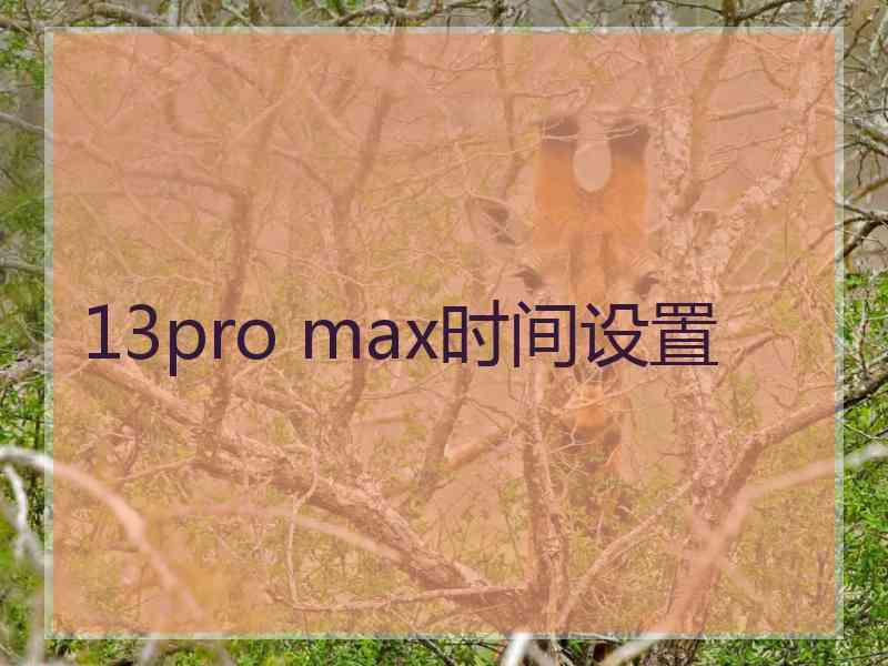 13pro max时间设置