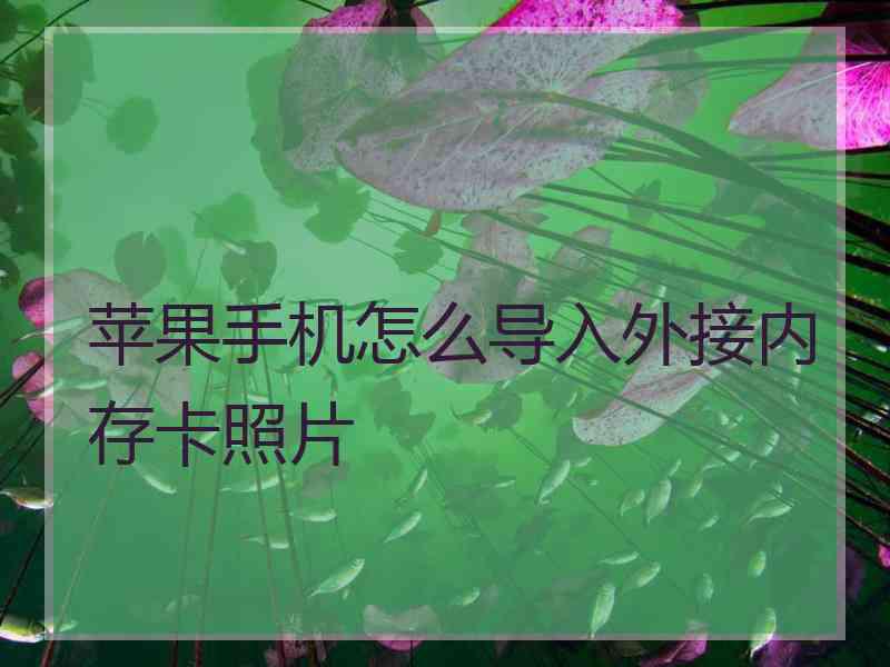 苹果手机怎么导入外接内存卡照片