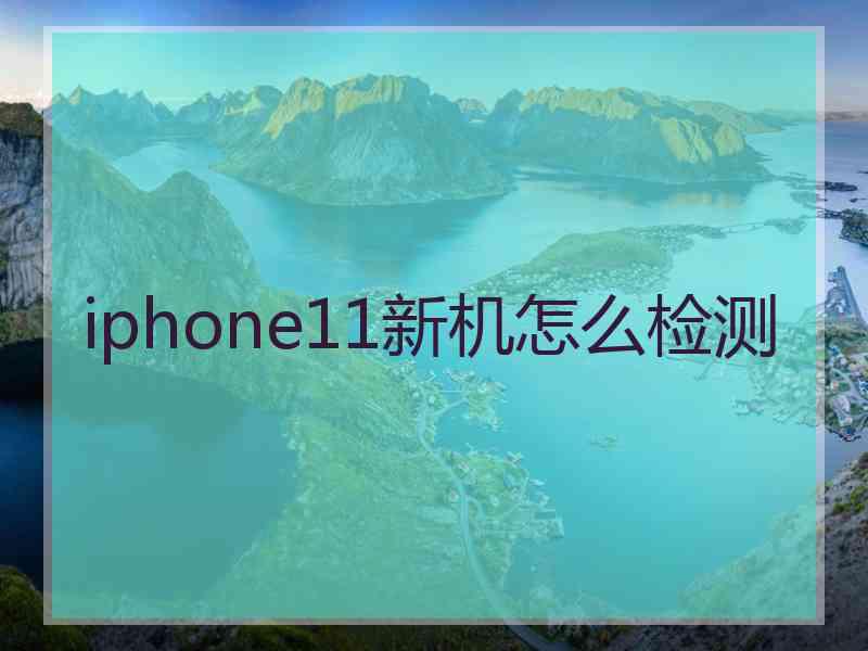 iphone11新机怎么检测