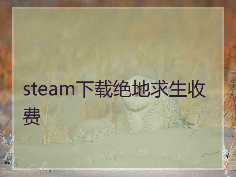 steam下载绝地求生收费