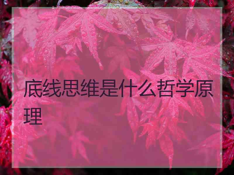 底线思维是什么哲学原理