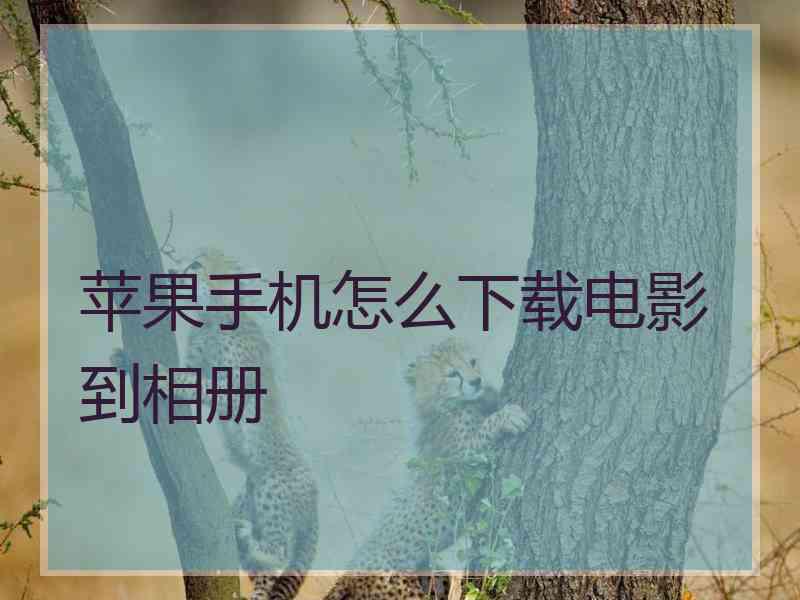 苹果手机怎么下载电影到相册