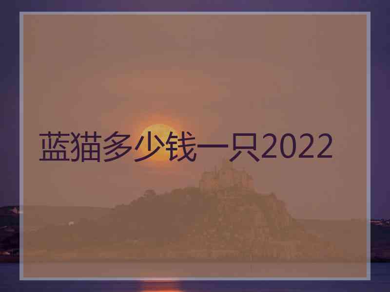 蓝猫多少钱一只2022