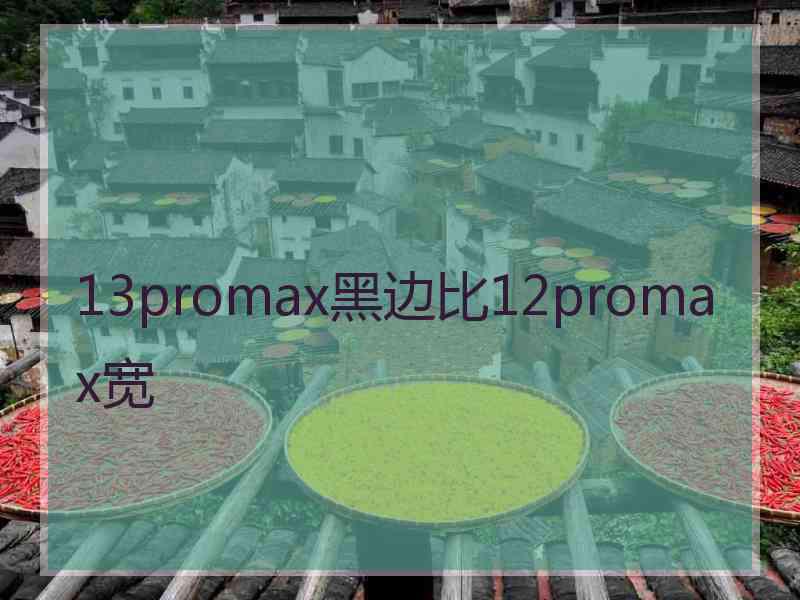 13promax黑边比12promax宽