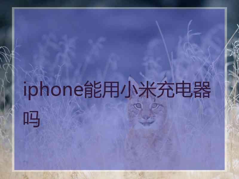 iphone能用小米充电器吗