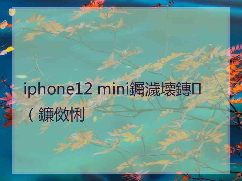 iphone12 mini钃濊壊鏄（鐮傚悧