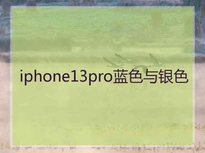 iphone13pro蓝色与银色