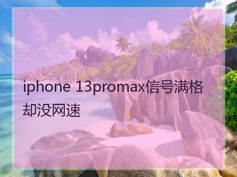 iphone 13promax信号满格却没网速