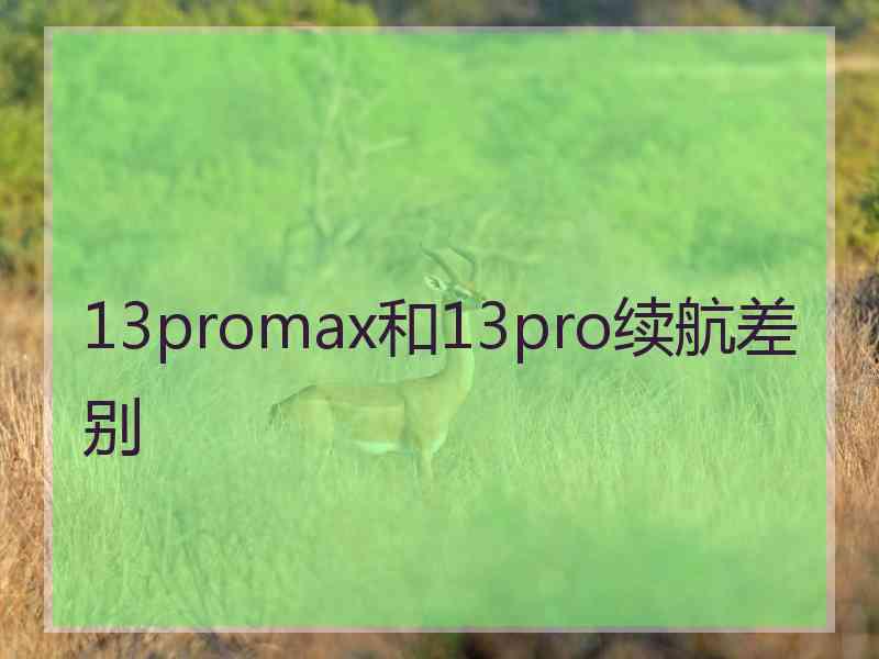 13promax和13pro续航差别