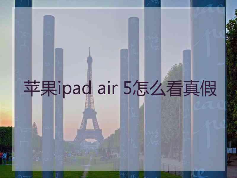 苹果ipad air 5怎么看真假