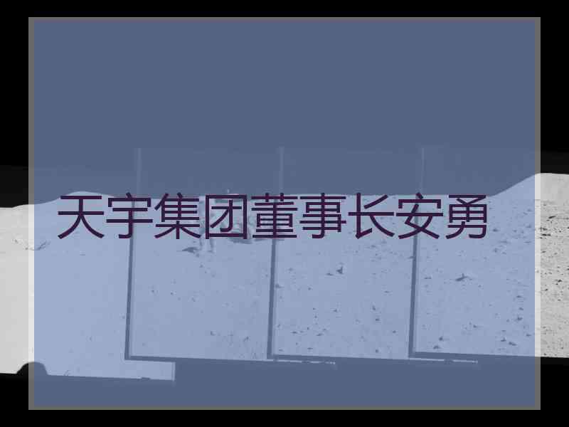 天宇集团董事长安勇