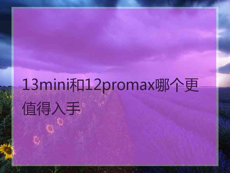 13mini和12promax哪个更值得入手