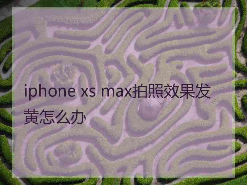 iphone xs max拍照效果发黄怎么办