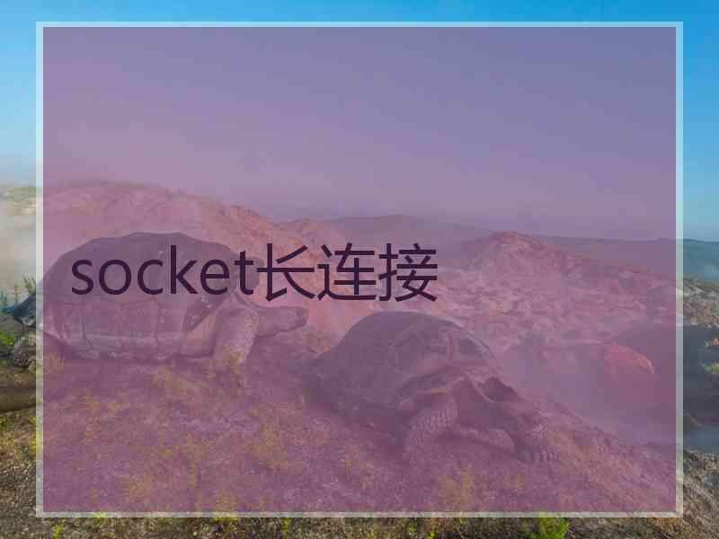 socket长连接