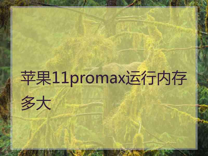 苹果11promax运行内存多大