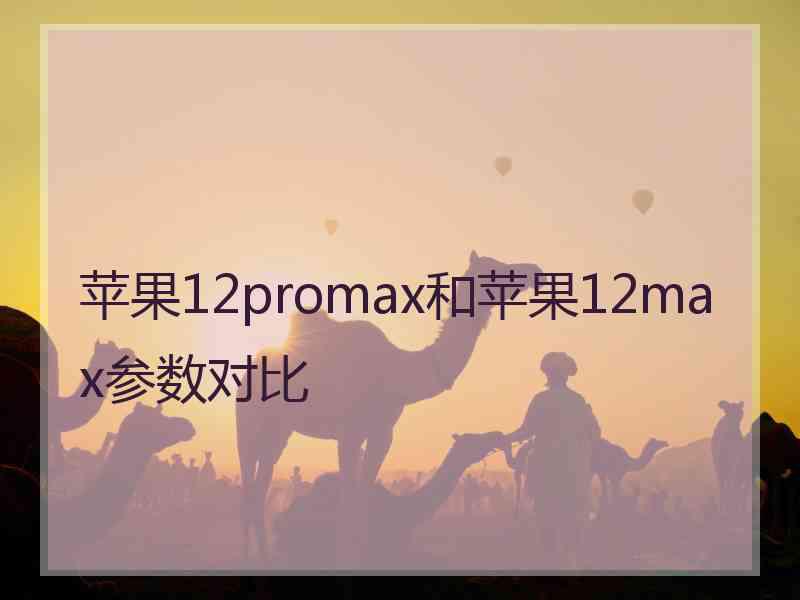 苹果12promax和苹果12max参数对比