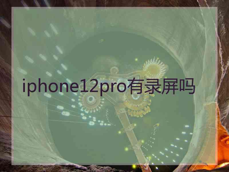 iphone12pro有录屏吗