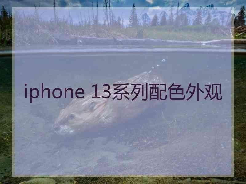 iphone 13系列配色外观