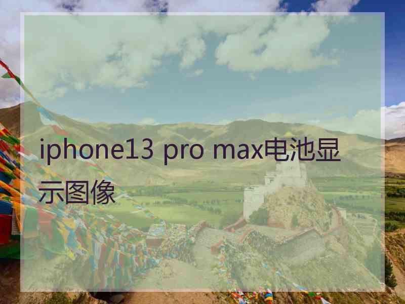 iphone13 pro max电池显示图像