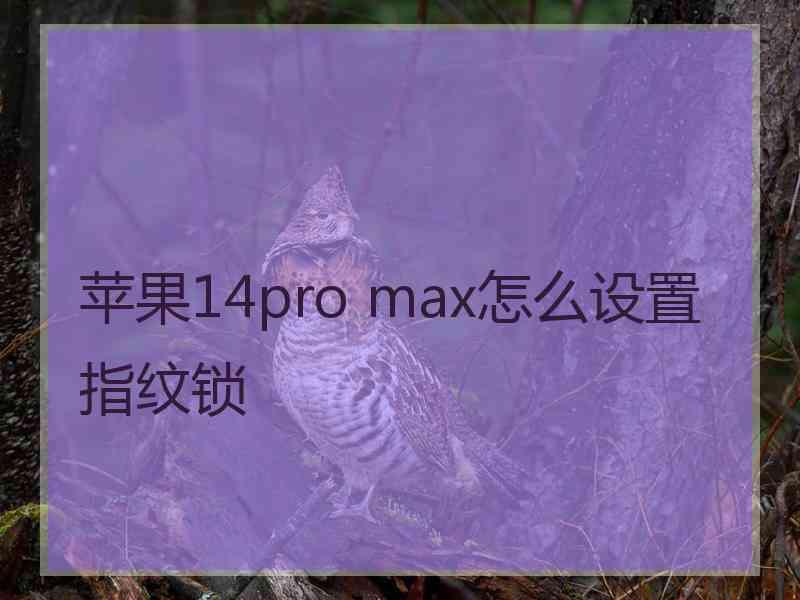 苹果14pro max怎么设置指纹锁