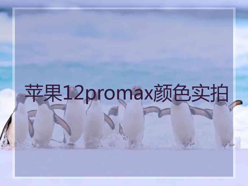 苹果12promax颜色实拍