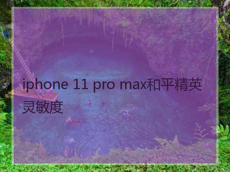 iphone 11 pro max和平精英灵敏度