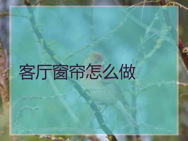 客厅窗帘怎么做