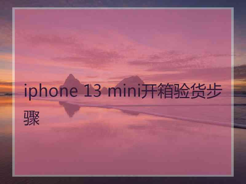 iphone 13 mini开箱验货步骤