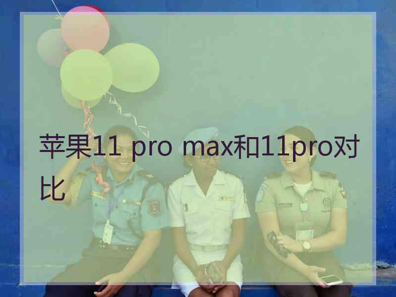 苹果11 pro max和11pro对比