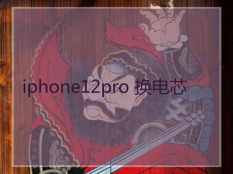 iphone12pro 换电芯